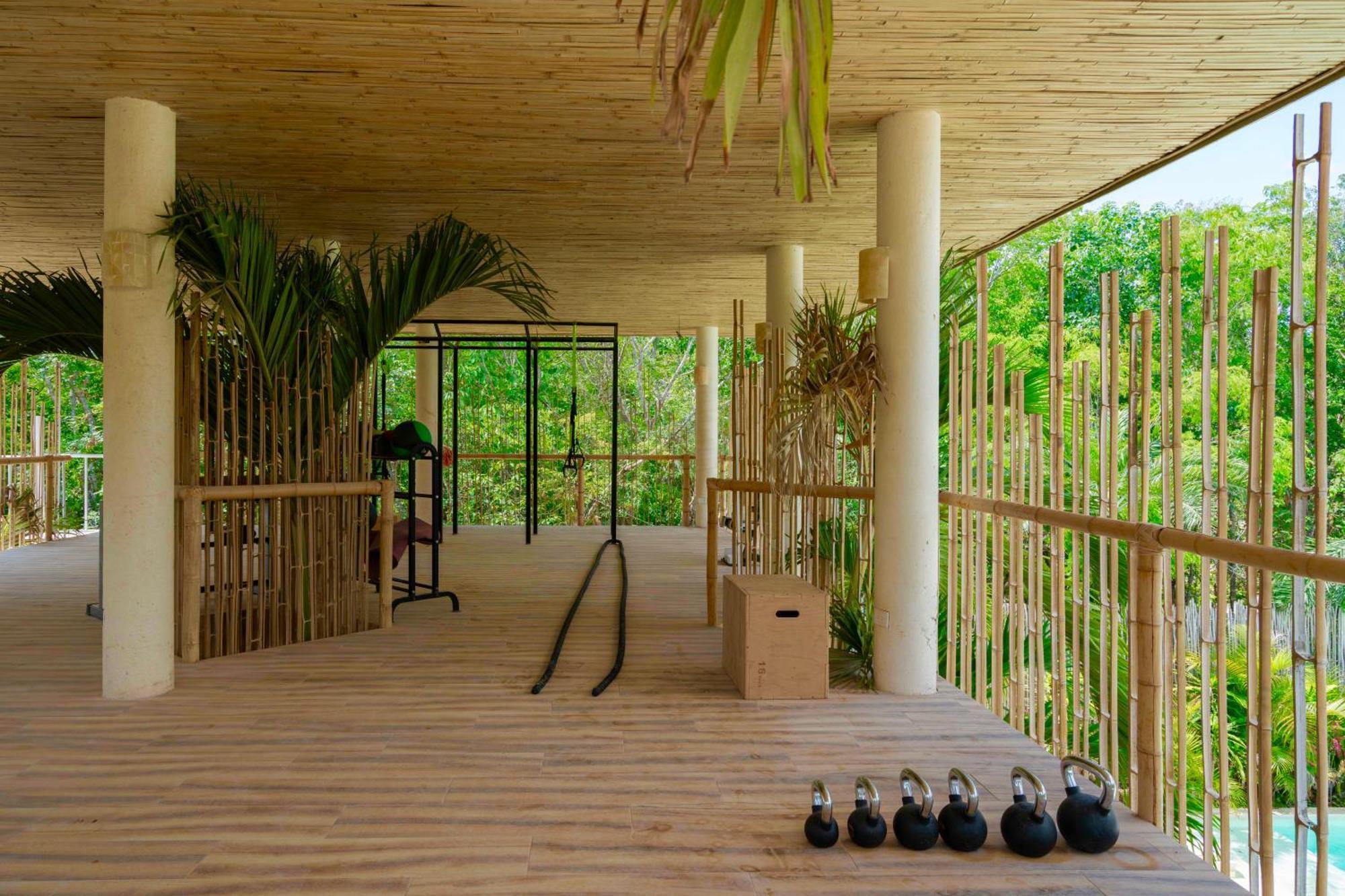 Beautiful Swim-Up Studio With Private Terrace, Pool And Jungle Gym 图卢姆 外观 照片