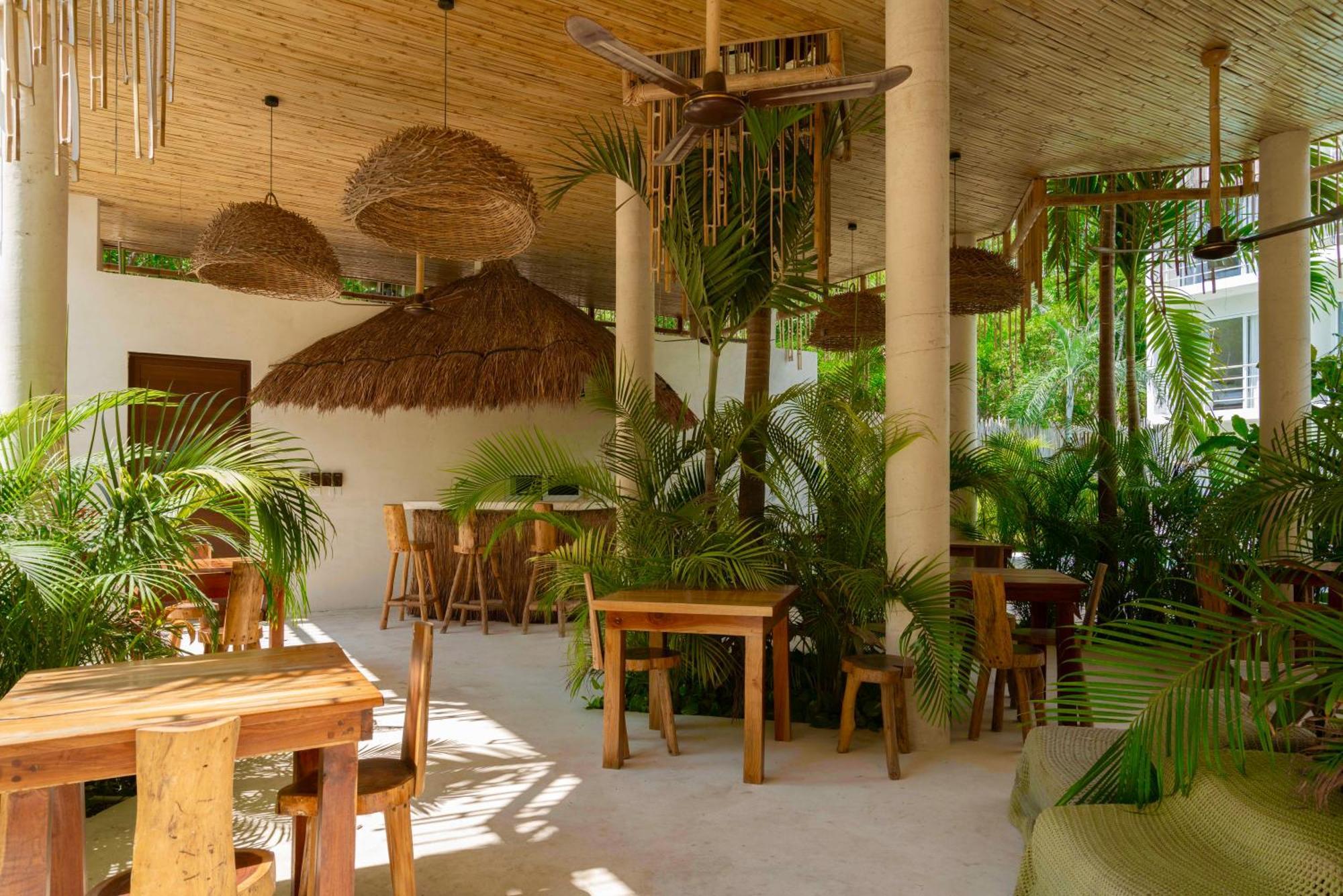 Beautiful Swim-Up Studio With Private Terrace, Pool And Jungle Gym 图卢姆 外观 照片